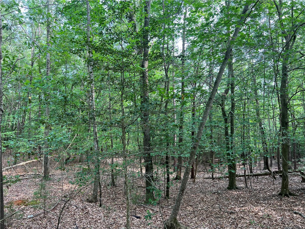 0 Cann Road Anderson, SC 29625 - Photo 15 of 27 Gallery Image 15