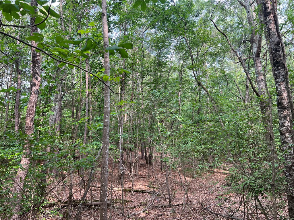 0 Cann Road Anderson, SC 29625 - Photo 2 of 27 Gallery Image 2