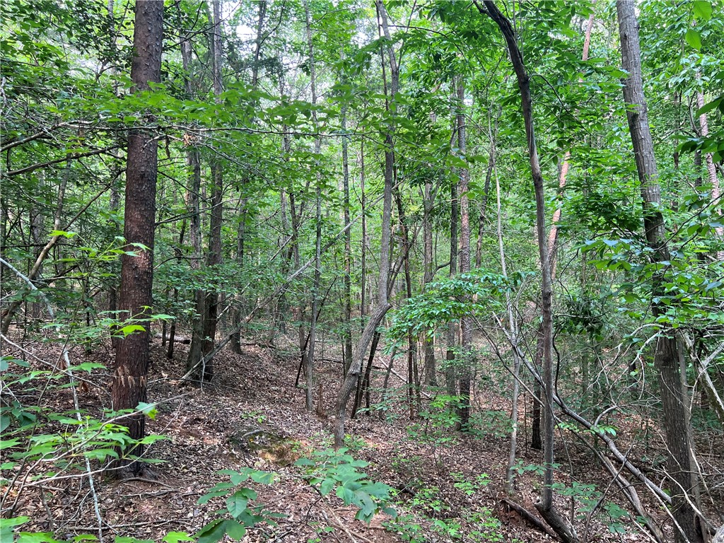 0 Cann Road Anderson, SC 29625 - Photo 26 of 27 Gallery Image 26