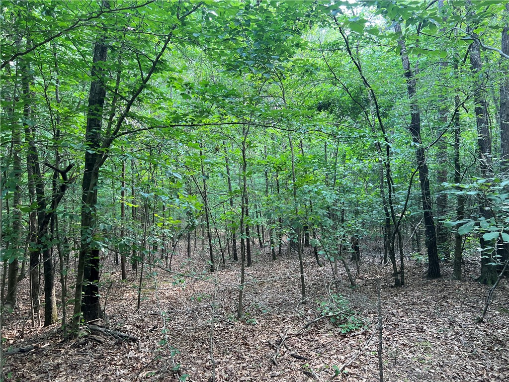 0 Cann Road Anderson, SC 29625 - Photo 27 of 27 Gallery Image 27