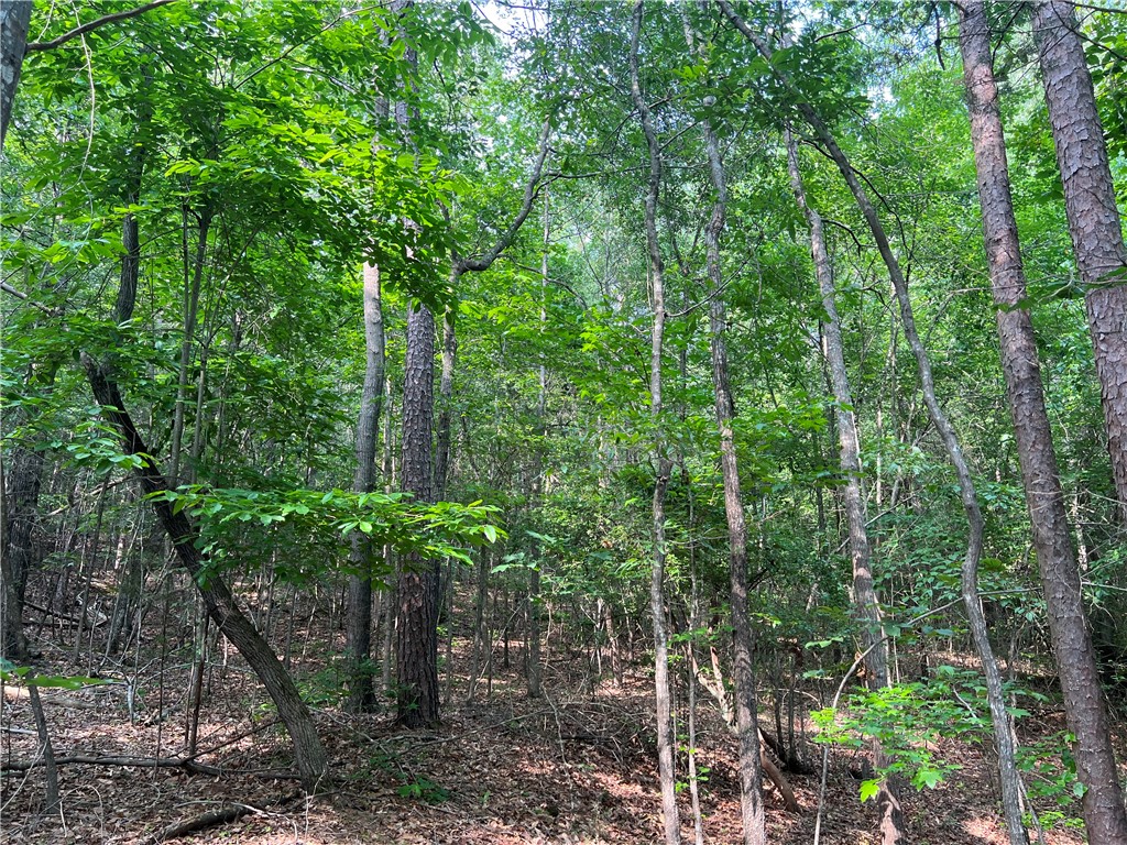 0 Cann Road Anderson, SC 29625 - Photo 4 of 27 Gallery Image 4