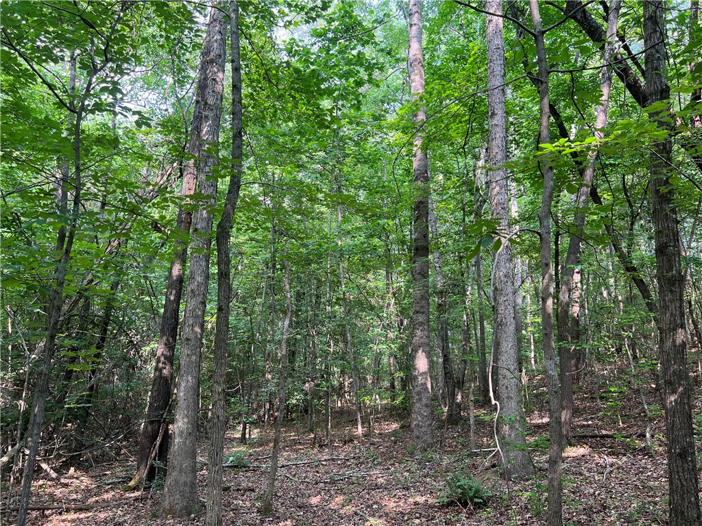 0 Cann Road Anderson, SC 29625 - Photo 8 of 27 Gallery Image 8
