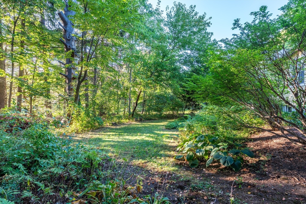 12 Moorland Street Amherst, MA 01002 - Photo 5 of 25 a view of a lush green space