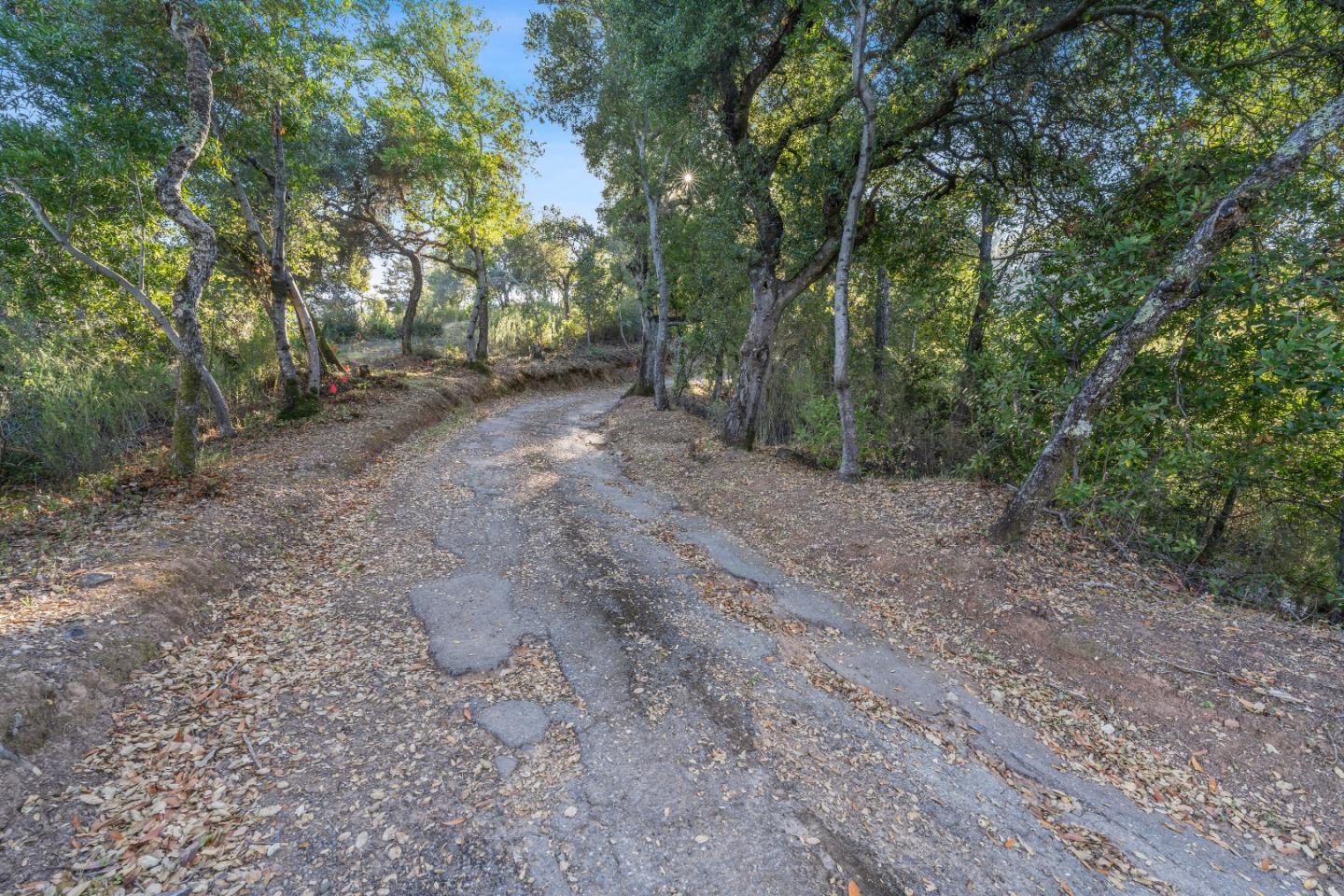 18860 Overlook Road Los Gatos, CA 95030 - Photo 5 of 32 a view of a forest with trees in the background