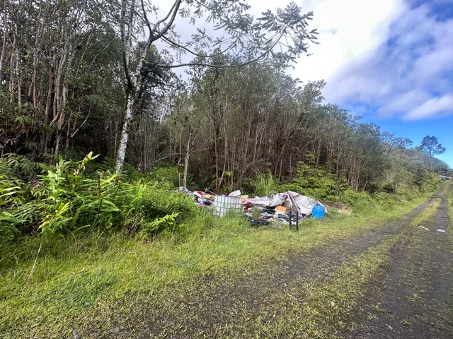 a view of yard with green space