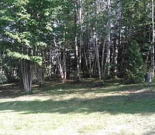 1780 Hamlin Road Van Buren, ME 04785 - Photo 49 of 61 Screen Shot 2020-08-09 at 8.34.14 PM