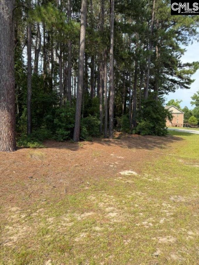 2140 Watersong Run Sumter, SC 29150 - Photo 5 of 5