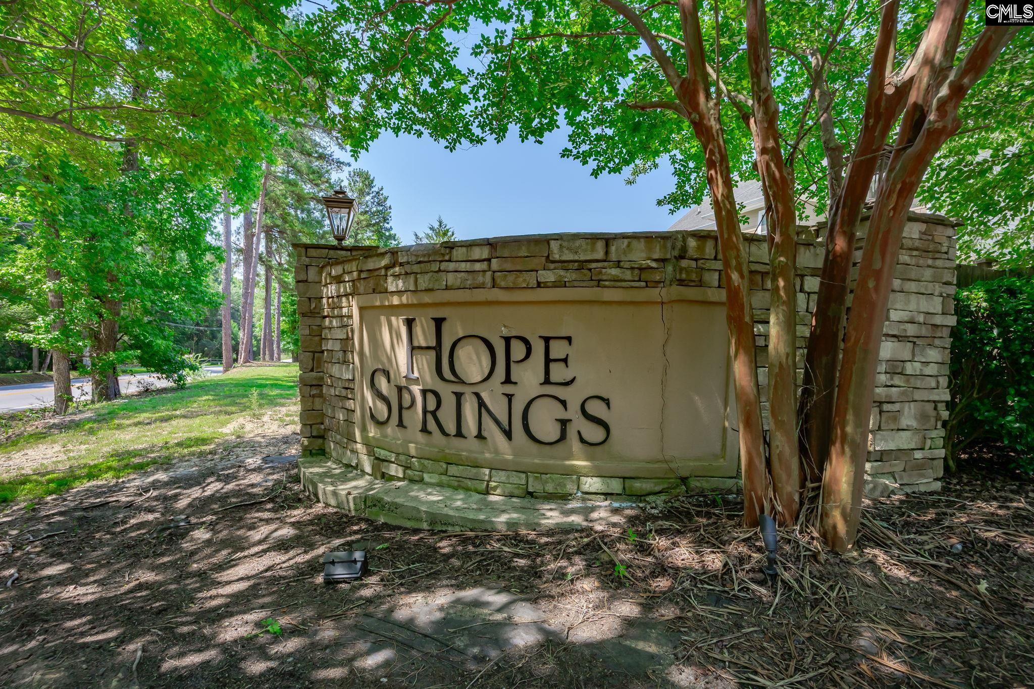 178 Hope Springs Road Lexington, SC 29072 - Photo 94 of 95