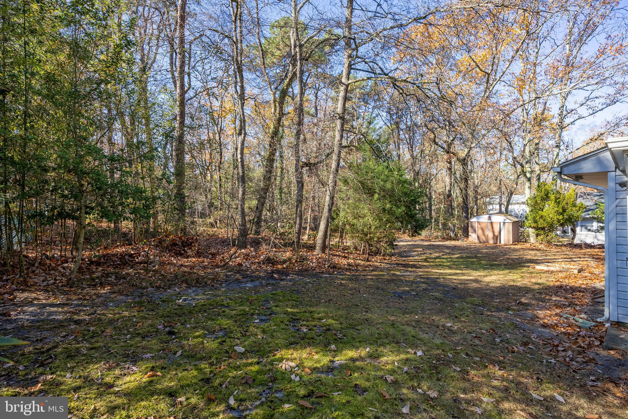 370 Tuckerton Road Medford, NJ 08055 - Photo 30 of 35 wooded view