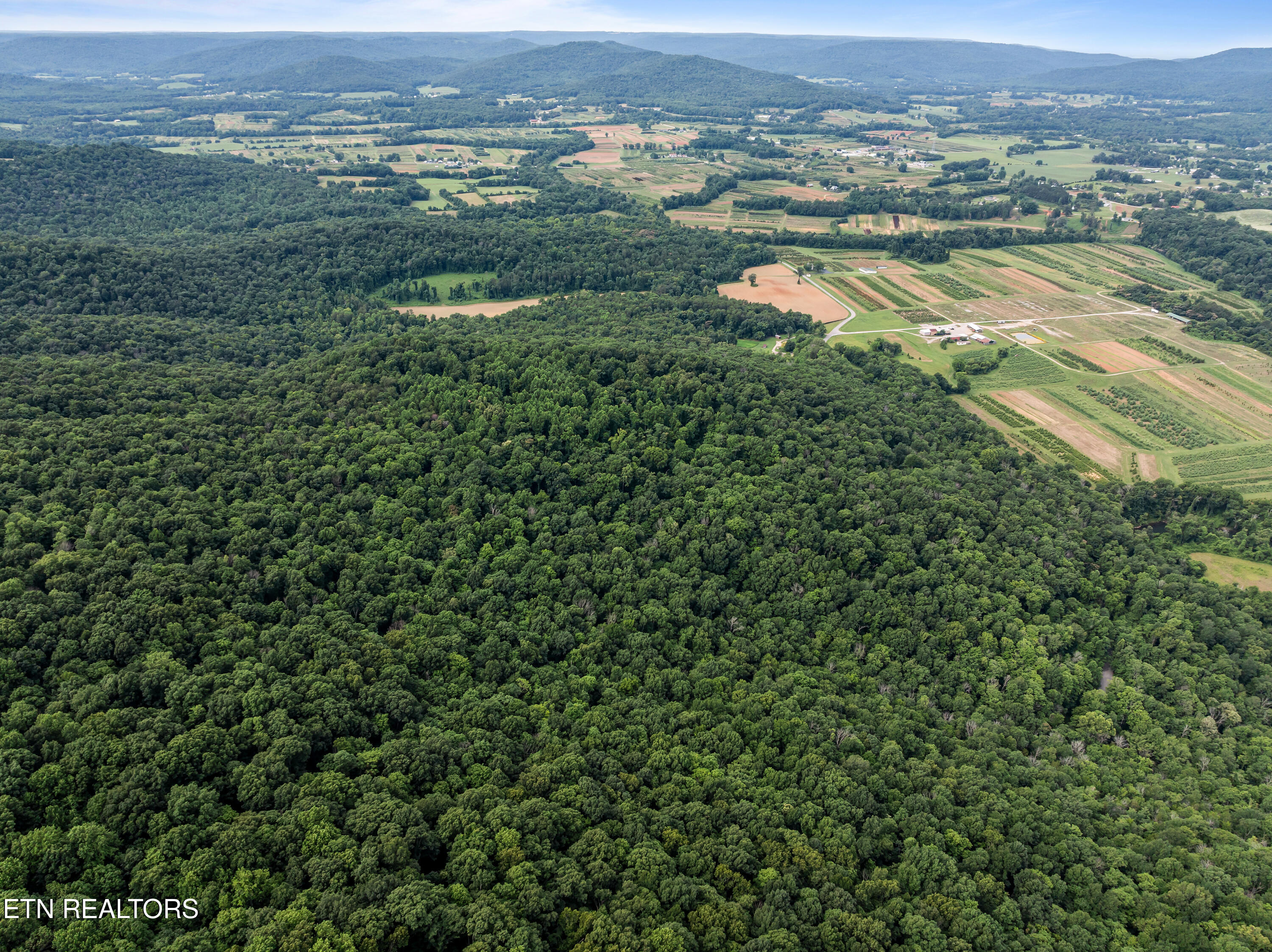 Tbd Turners Bend Road McMinnville, TN 37110 - Photo 13 of 15 McMinnville_008
