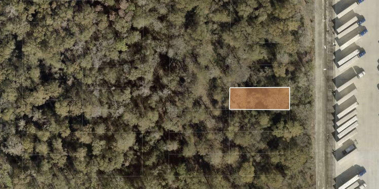 0 Fitzhugh Street Houston, TX 77028 - Photo 3 of 3 a close up of a wall with a tree