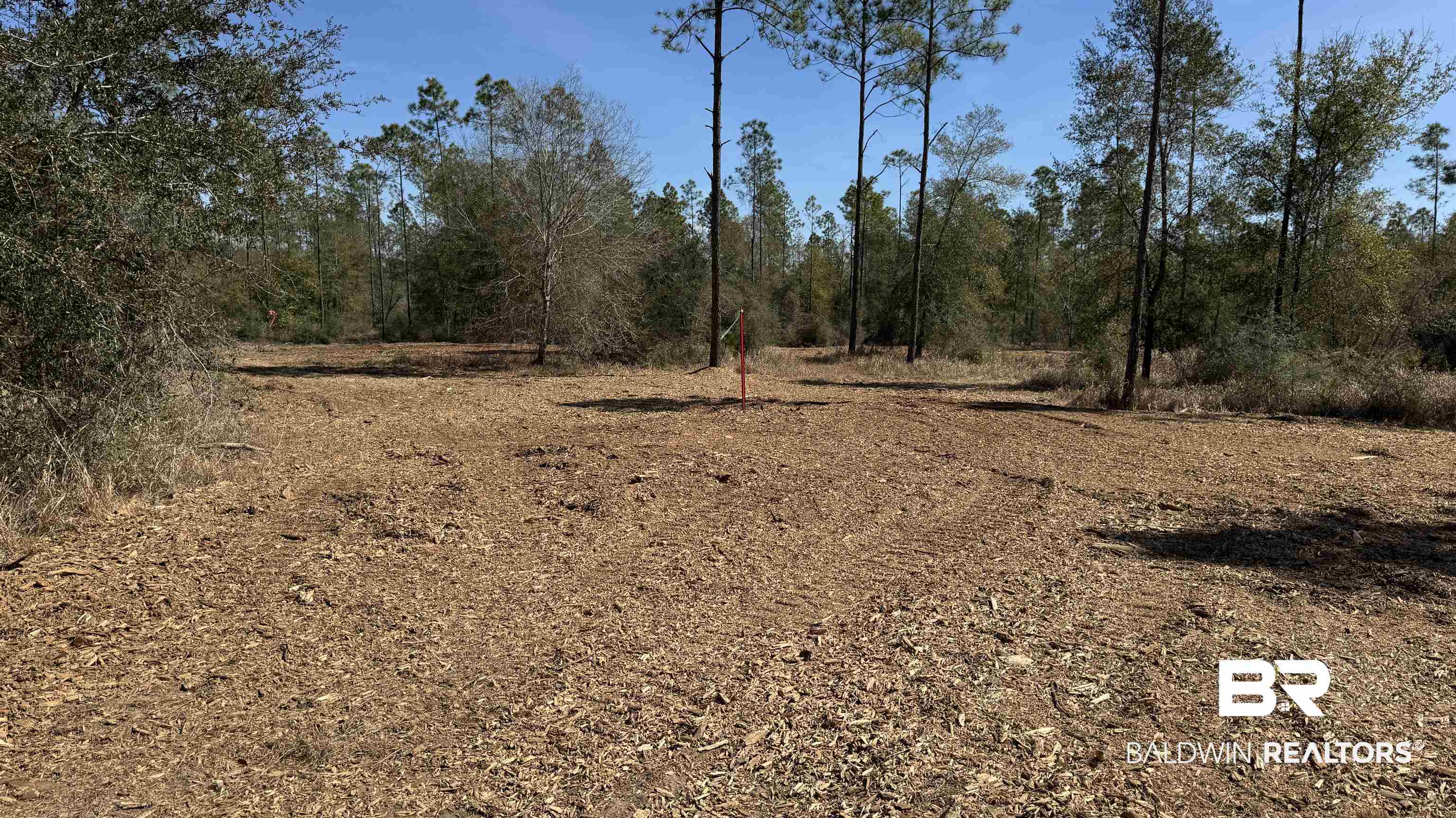 0 Archie Road Elberta, AL 36530 - Photo 12 of 16 View of undeveloped land