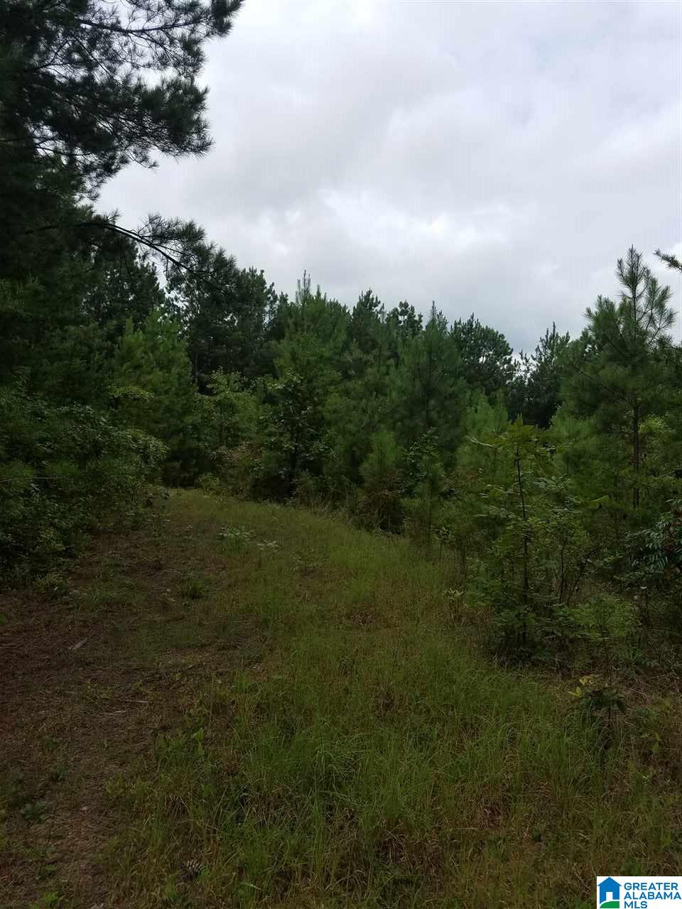 5 Charles Taylor Road, Unit 5 Vance, AL 35490 - Photo 6 of 7
