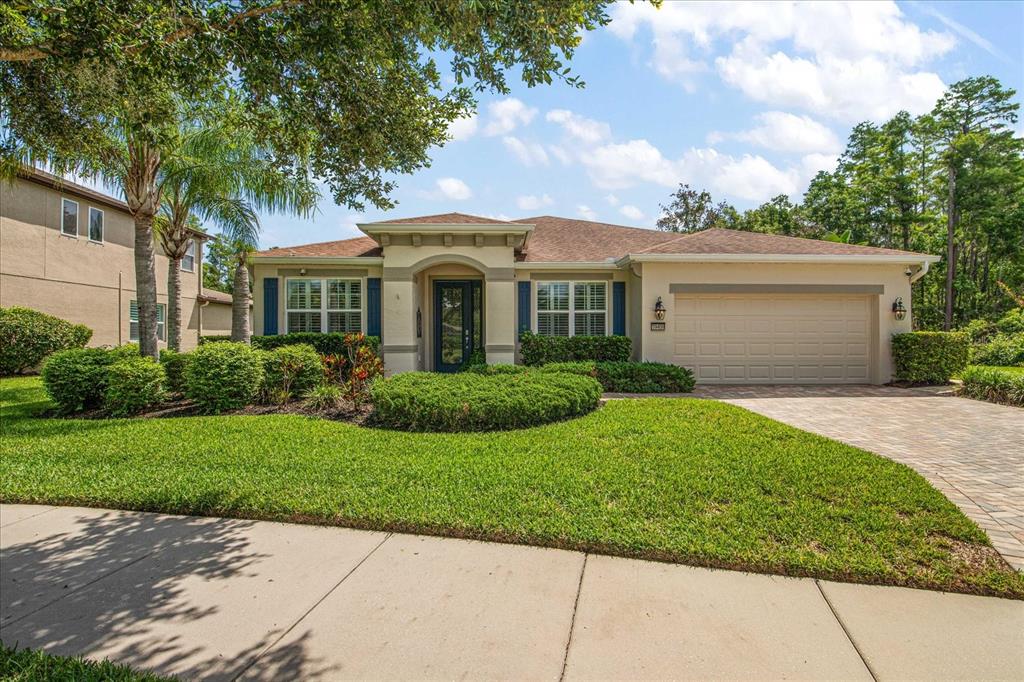 19409 Wingrove Lane Lutz, FL 33558 - Photo 1 of 1 a front view of a house with a garden