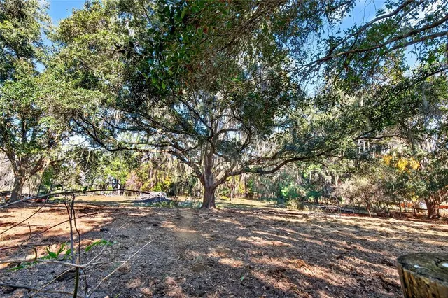 a view of outdoor space with yard