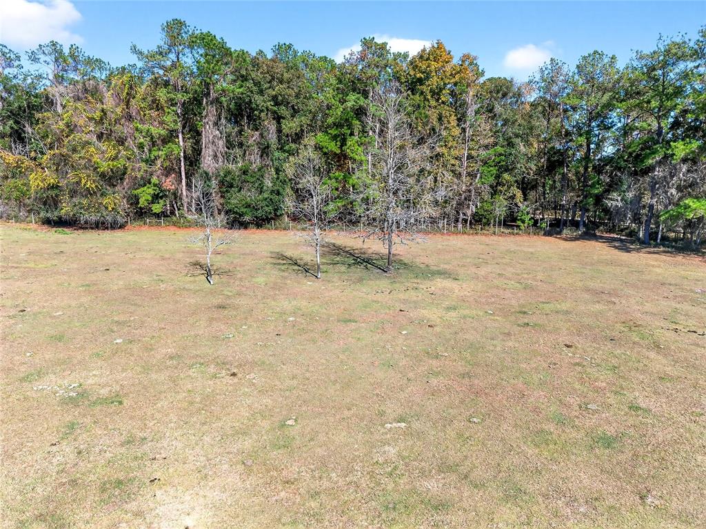 15340 Northwest 65th Avenue Road Reddick, FL 32686 - Photo 32 of 45 a view of a dry yard with trees