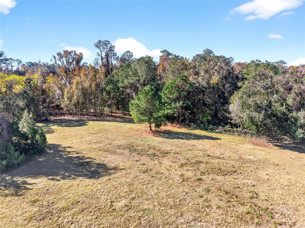15340 Northwest 65th Avenue Road Reddick, FL 32686 - Photo 35 of 45 a view of water yard with a tree