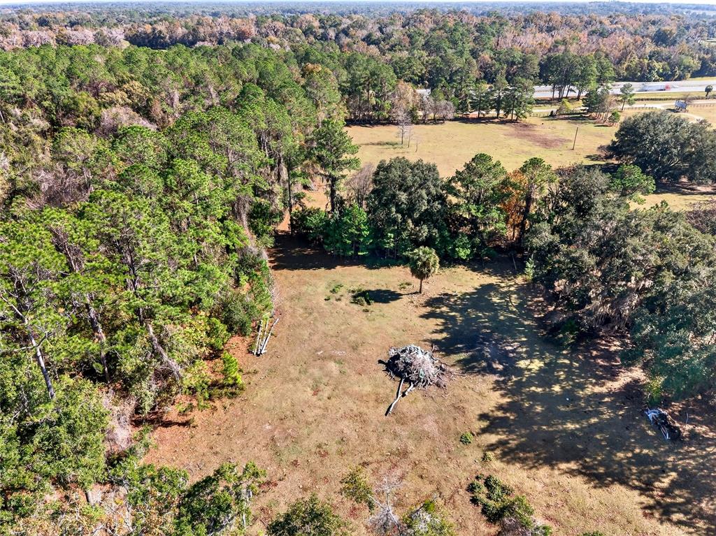 15340 Northwest 65th Avenue Road Reddick, FL 32686 - Photo 37 of 45 a view of lake with green space