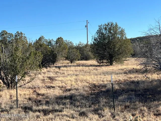 a view of mountain and a yard