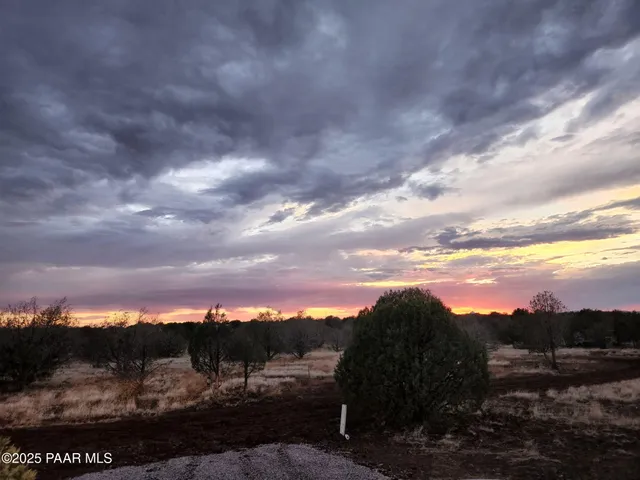 a view of a road with a yard