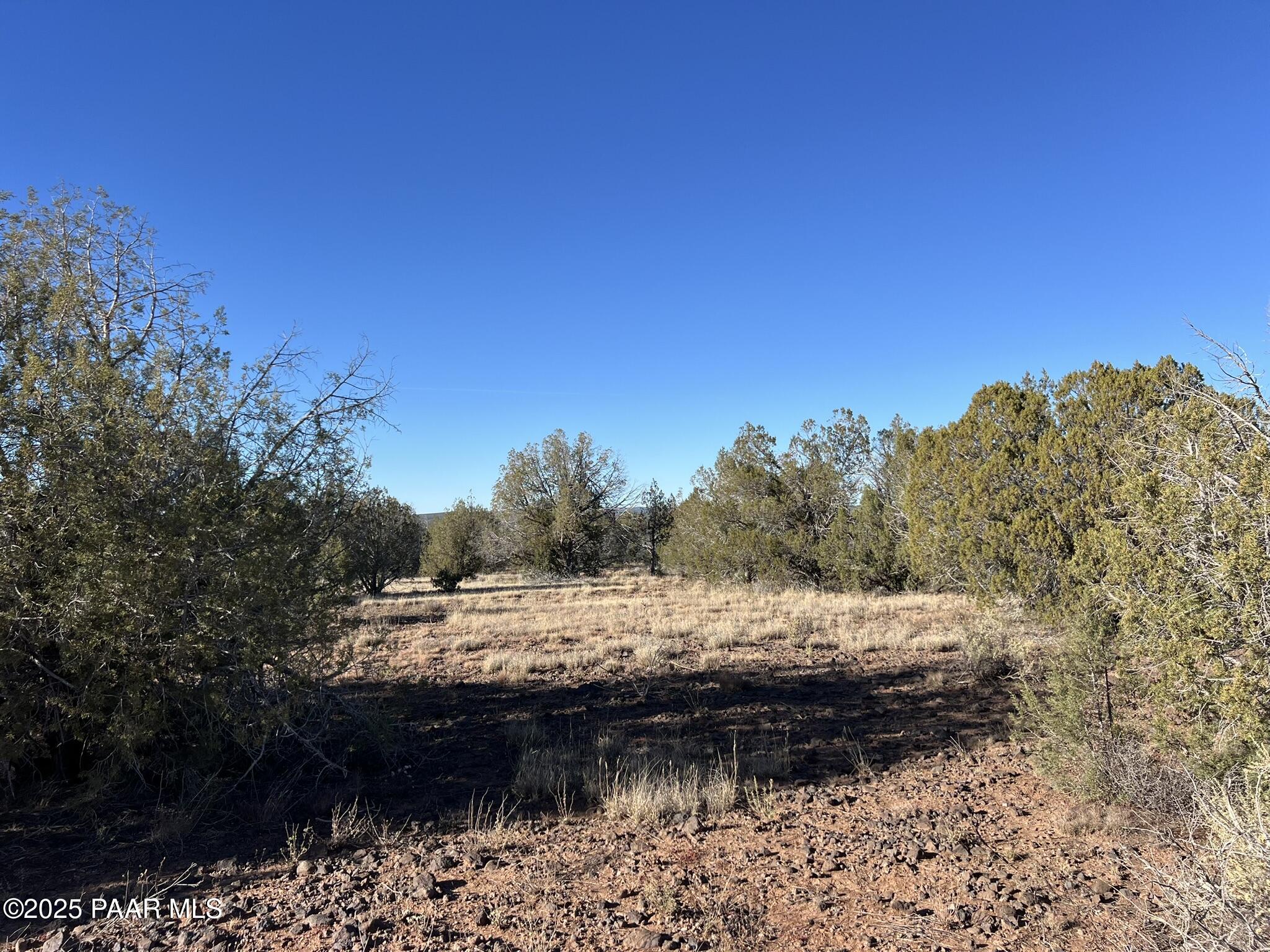 4353 Highview Drive Williams, AZ 86046 - Photo 5 of 14 a view of a road with a yard