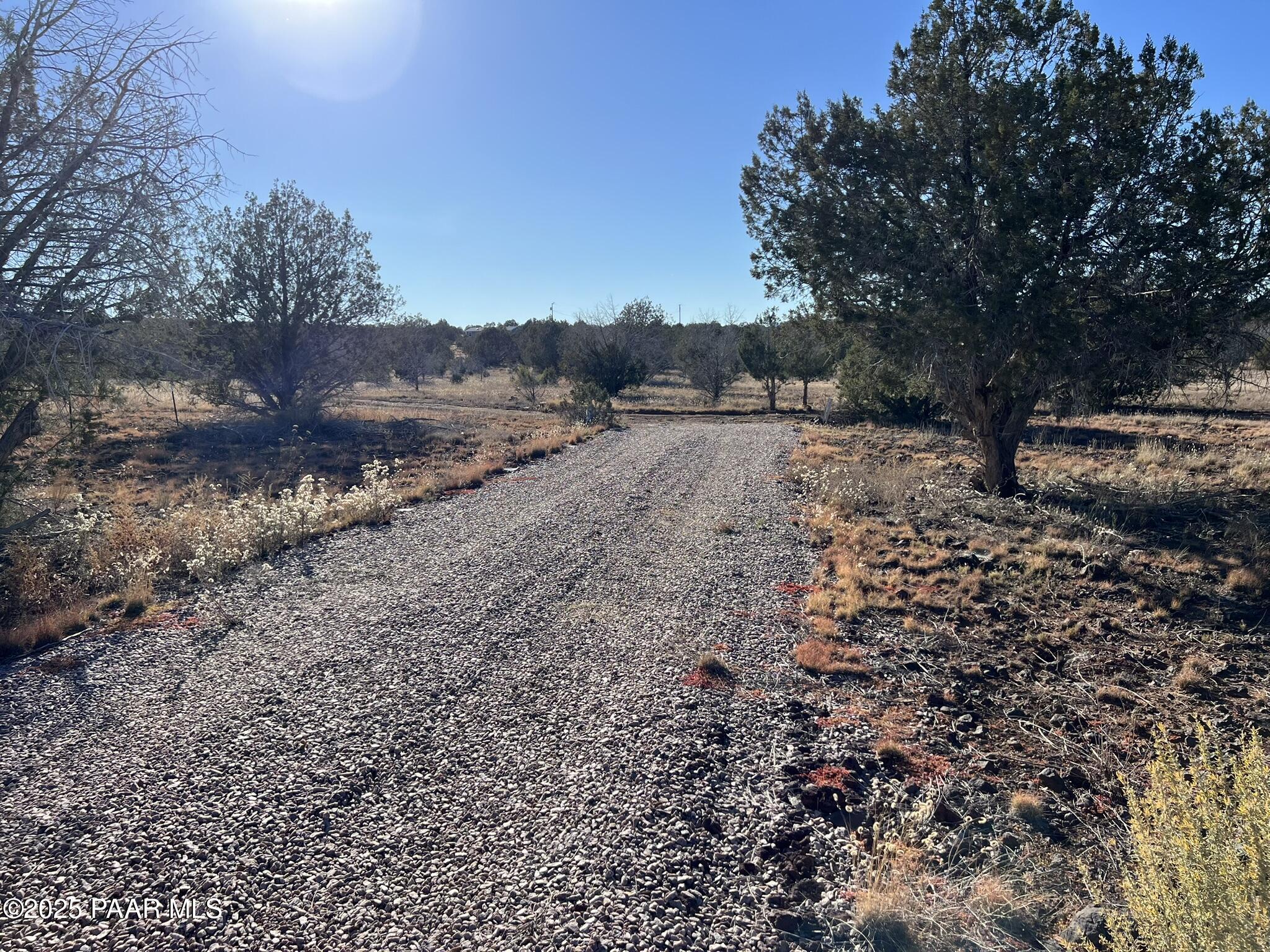 4353 Highview Drive Williams, AZ 86046 - Photo 6 of 14 a view of dirt yard with a large tree