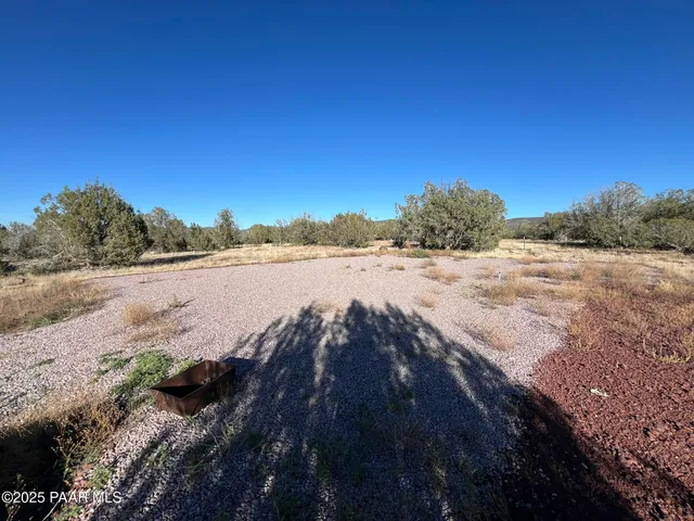 a view of a yard with a tree