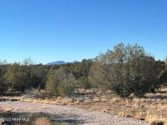 a view of a refrigerator