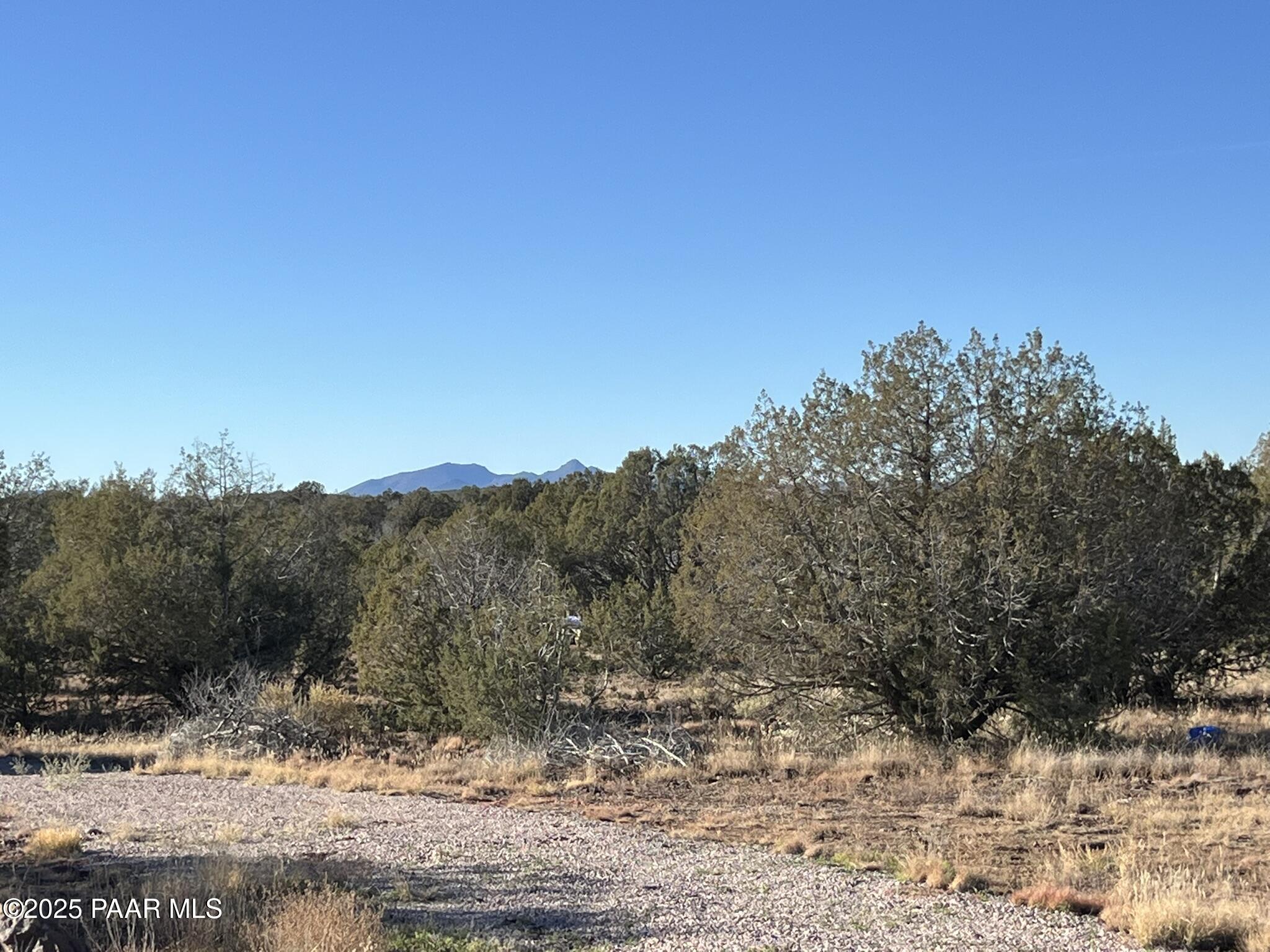 4353 Highview Drive Williams, AZ 86046 - Photo 10 of 14 a view of a yard with a tree