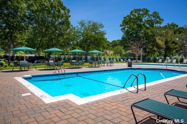 a view of a swimming pool with lounge chair