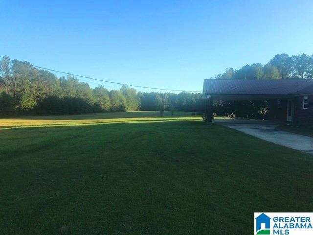 320 Saragossa Road Jasper, AL 35503 - Photo 2 of 17 Gallery Image 2