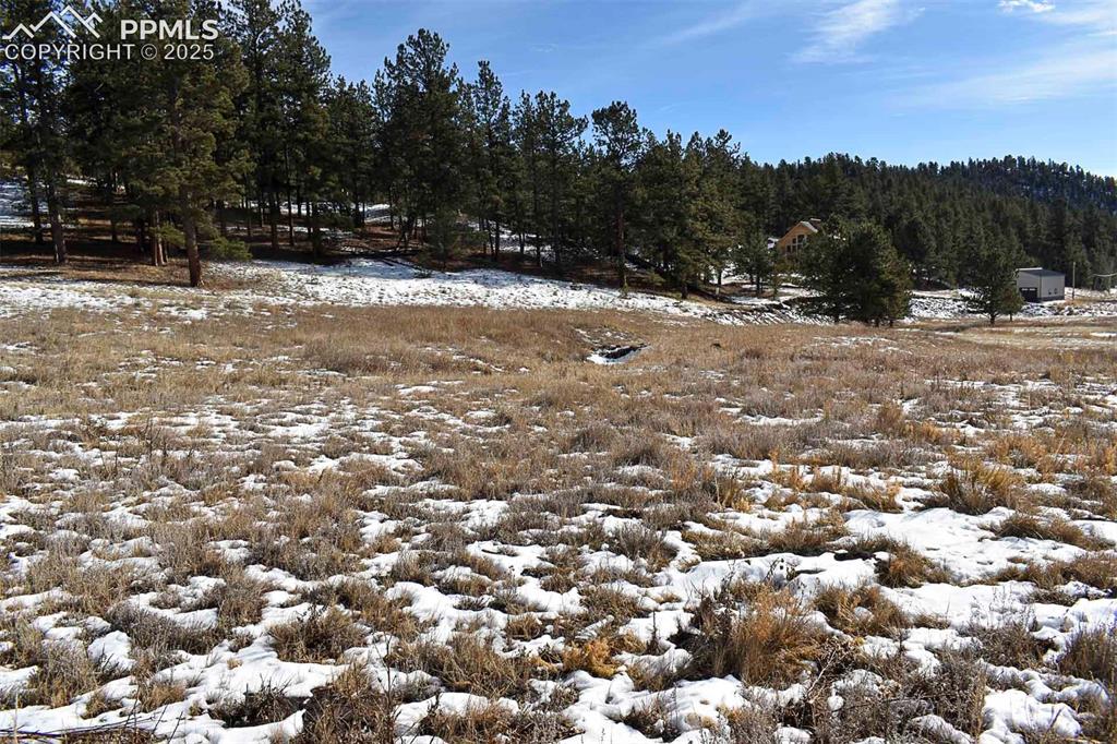 6th Street Guffey, CO 80820 - Photo 3 of 28