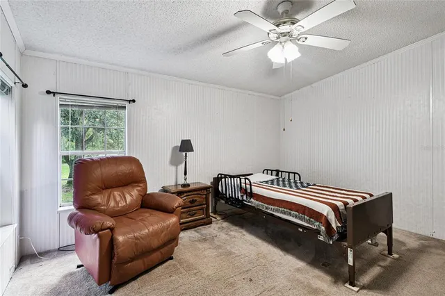 a bathroom with a toilet and a shower curtain