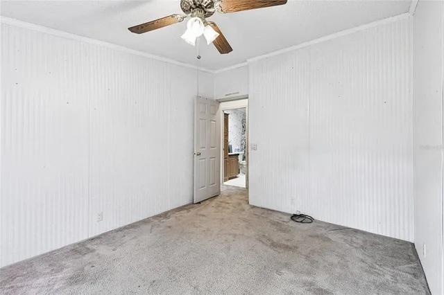 a view of backyard with a garden and entertaining space