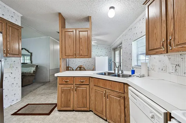 a view of a bunch of trees in a field