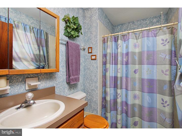 739 Rattling Run Road Mickleton, NJ 08056 - Photo 9 of 19 a bathroom with a sink and a mirror