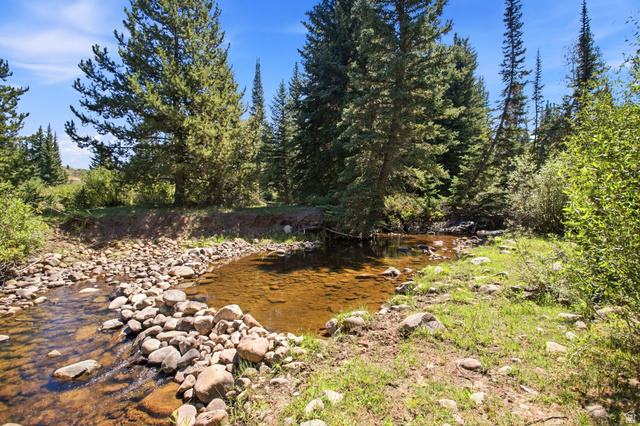 1663 Lancer Lane Evanston, UT 82930 - Photo 98 of 101 Natural water feature with a stone-lined bank, surrounded by mature evergreen trees and natural ground cover