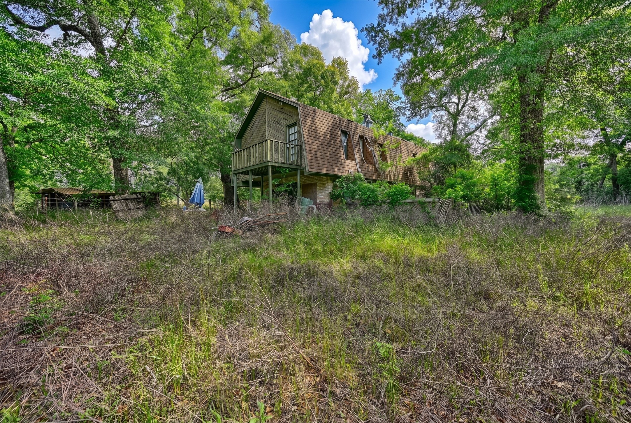 4321 Gaskamp Road Washington, TX 77880 - Photo 6 of 9 a backyard of a house with lots of green space