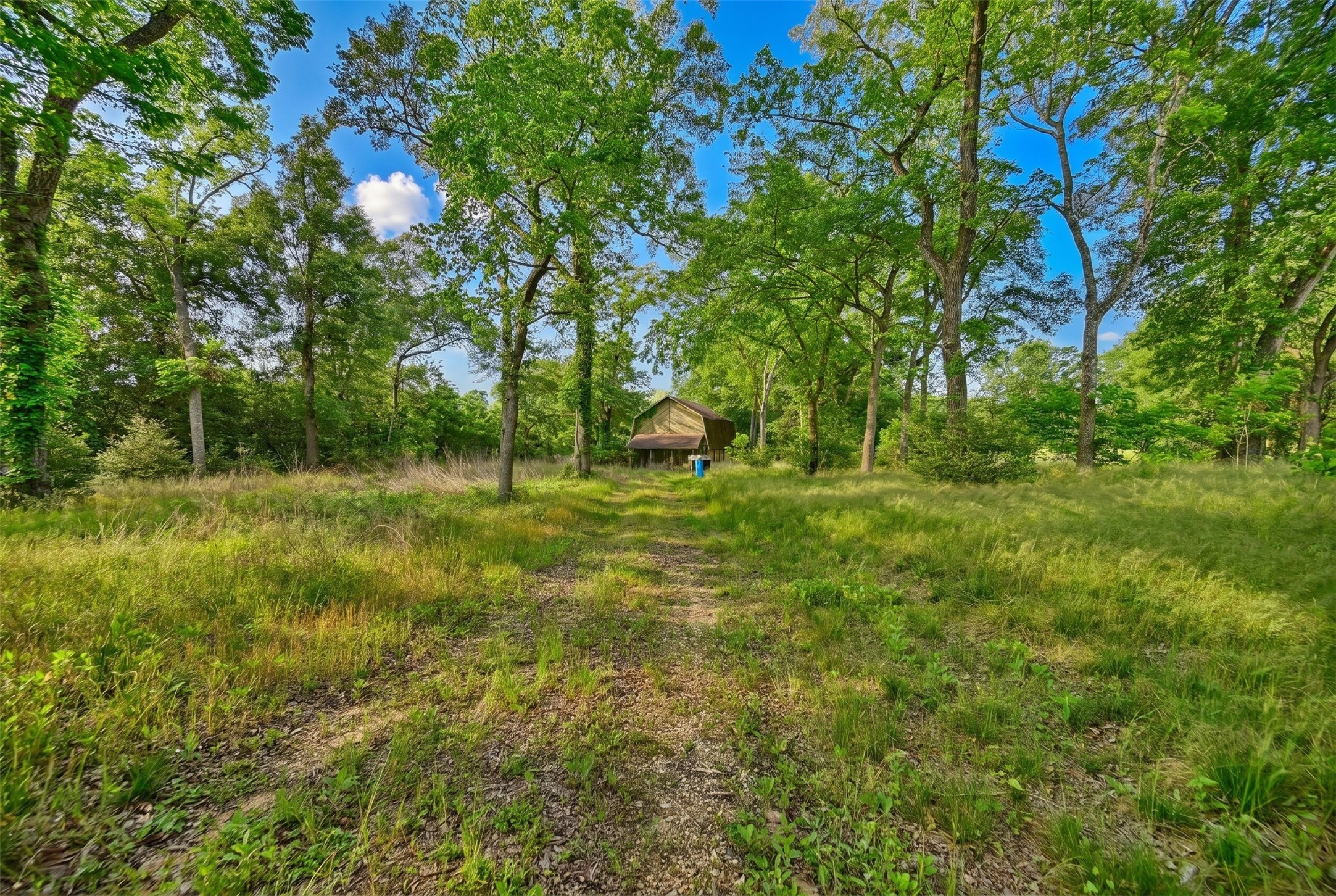 4321 Gaskamp Road Washington, TX 77880 - Photo 7 of 9 a large green field with lots of trees