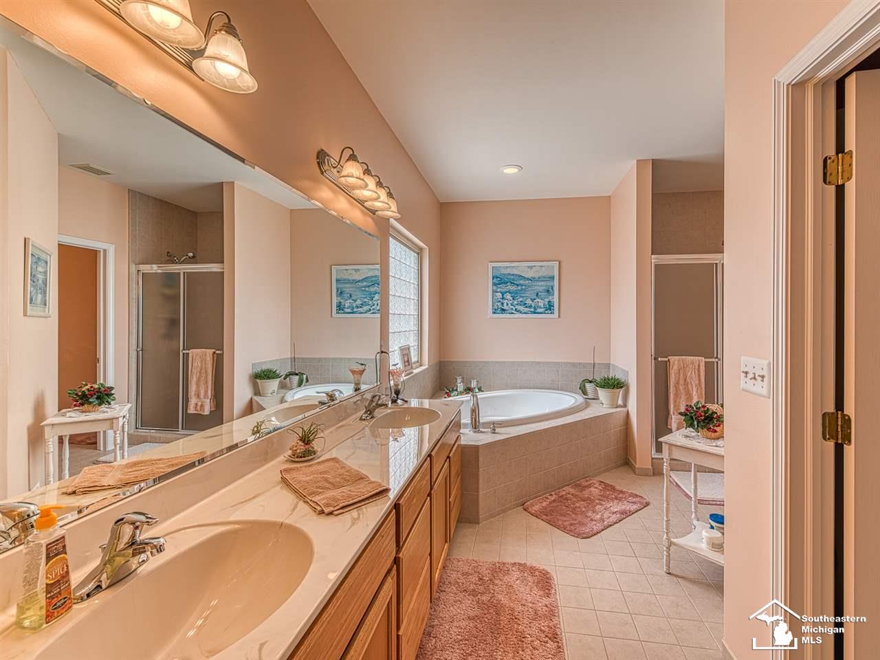 547 Ridge Point Drive Dundee, MI 48131 - Photo 13 of 43 Double Sinks