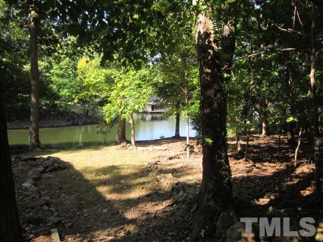 0 Lynch Point Road Macon, NC 27551 - Photo 3 of 8 a backyard of a house with a tree
