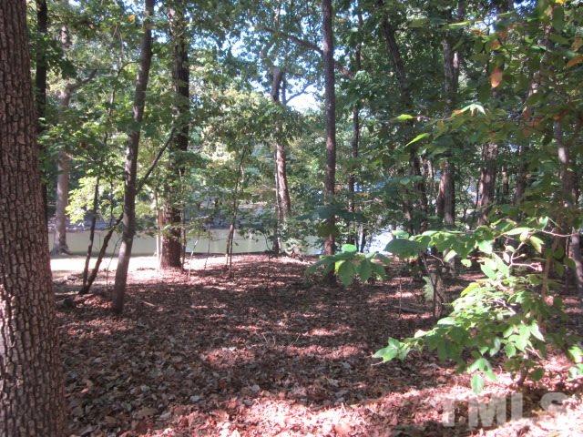 0 Lynch Point Road Macon, NC 27551 - Photo 4 of 8 a backyard of a house with lots of green space