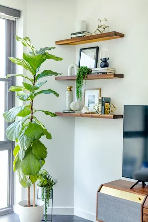 a vase of flowers sitting on a table with a potted plant
