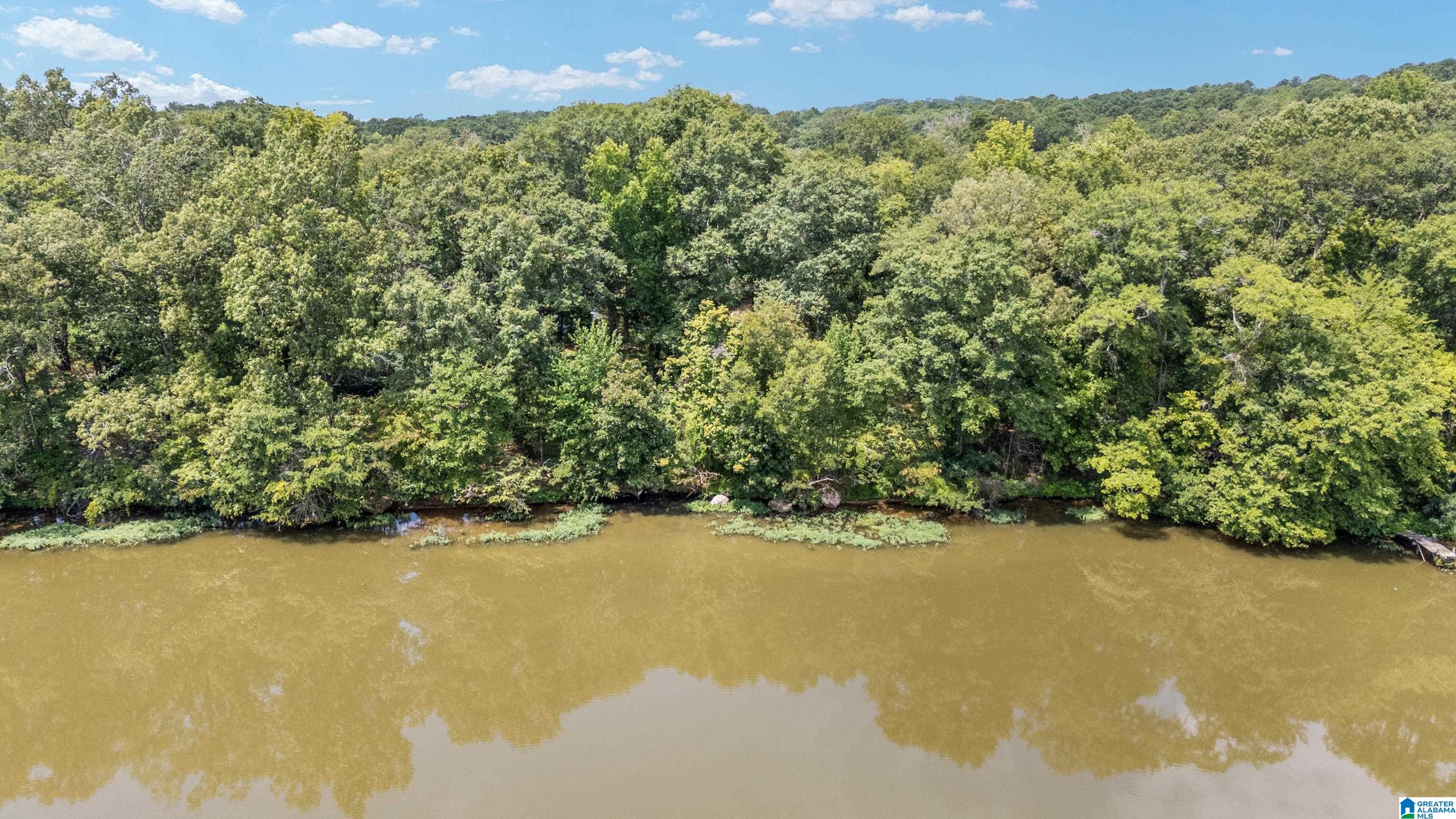 Lot 7 Hebb Road, Unit 7B Wilsonville, AL 35186 - Photo 5 of 22 Gallery Image 5
