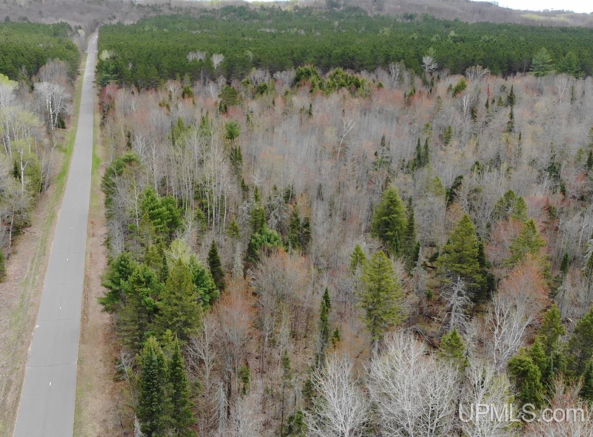 39 Sleepy Hollow Road Bruce Crossing, MI 49912 - Photo 9 of 24 Gallery Image 9
