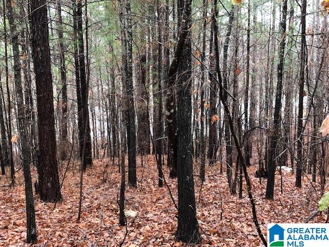 0 Lakeside Lane, Unit 31 Alpine, AL 35014 - Photo 41 of 42