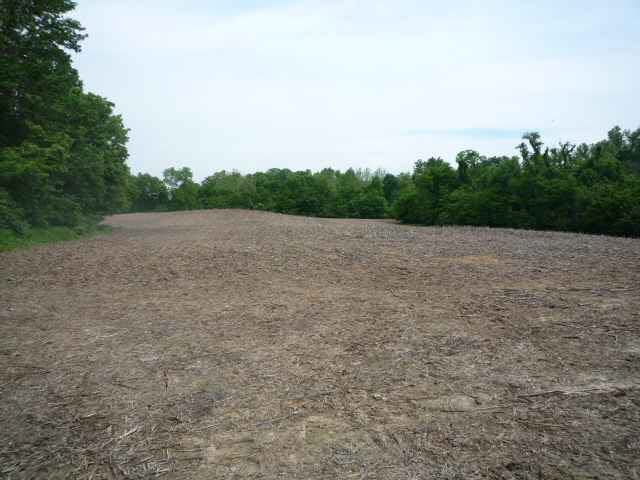 7.49-acres Ruppel Vincennes, IN 47591 - Photo 1 of 11 Gallery Image 1