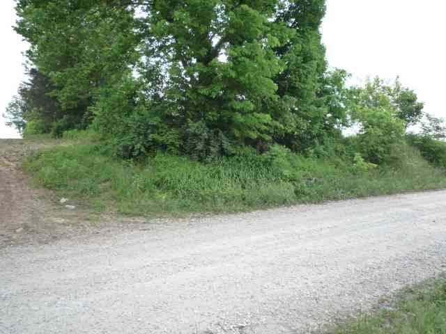 7.49-acres Ruppel Vincennes, IN 47591 - Photo 4 of 11 Gallery Image 4