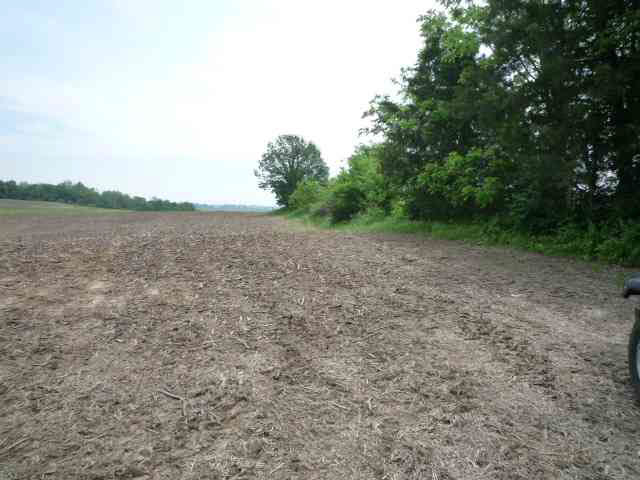 7.49-acres Ruppel Vincennes, IN 47591 - Photo 7 of 11 Gallery Image 7