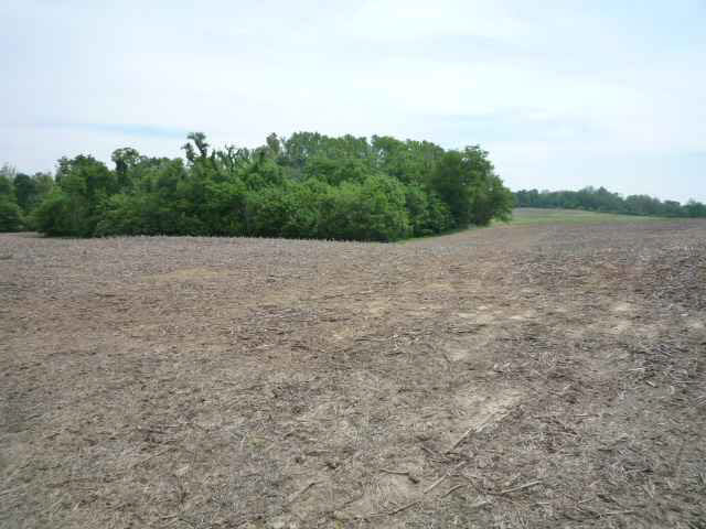 7.49-acres Ruppel Vincennes, IN 47591 - Photo 8 of 11 Gallery Image 8